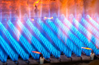 Peldon gas fired boilers